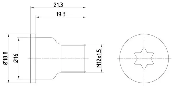 Skrūve, Bremžu disks TEXTAR TPM0005
