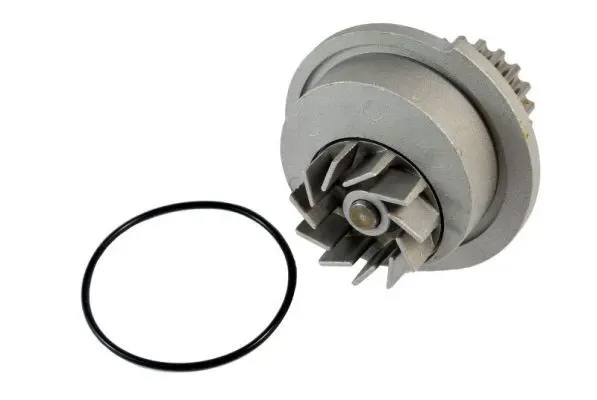 Ūdenssūknis THERMOTEC D10007TT