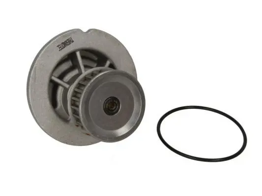 Ūdenssūknis THERMOTEC D10018TT