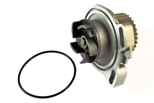 Ūdenssūknis THERMOTEC D1A010TT