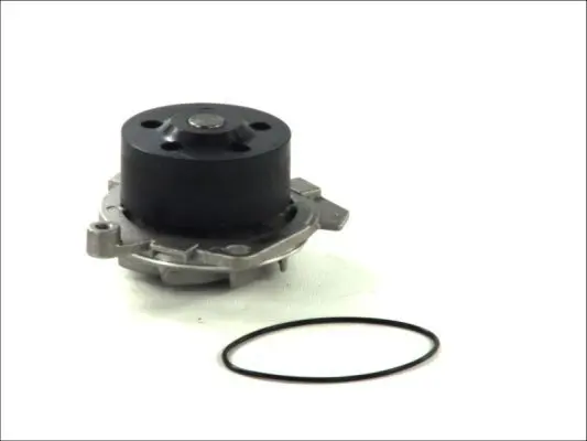 Ūdenssūknis THERMOTEC D1D019TT