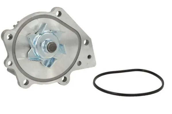 Ūdenssūknis THERMOTEC D1K006TT