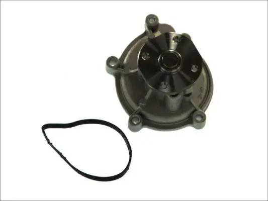 Ūdenssūknis THERMOTEC D1M051TT