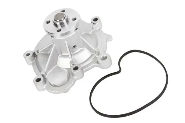 Ūdenssūknis THERMOTEC D1M054TT