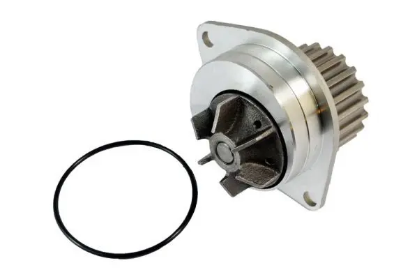 Ūdenssūknis THERMOTEC D1P019TT