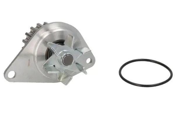 Ūdenssūknis THERMOTEC D1P043TT