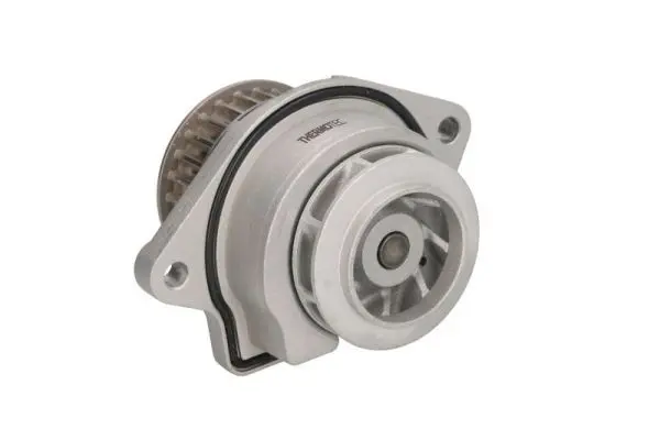 Ūdenssūknis THERMOTEC D1W019TT