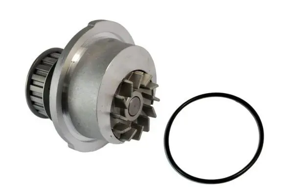 Ūdenssūknis THERMOTEC D1X009TT