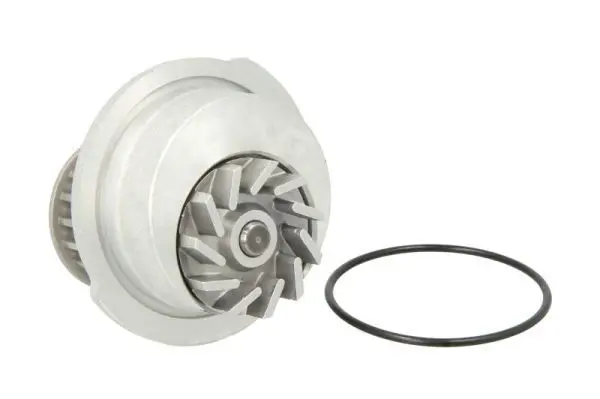 Ūdenssūknis THERMOTEC D1X012TT