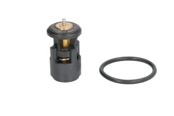 Termostats, Dzesēšanas šķidrums THERMOTEC D2A005TT