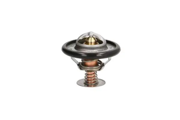 Termostats, Dzesēšanas šķidrums THERMOTEC D2C002TT