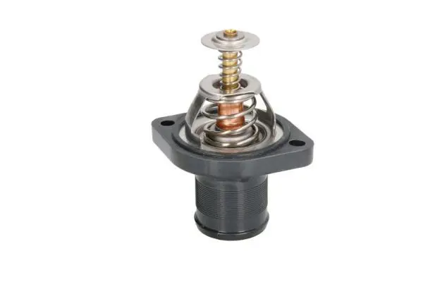 Termostats, Dzesēšanas šķidrums THERMOTEC D2C004TT
