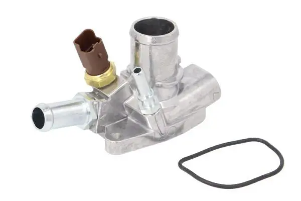 Thermostat, coolant THERMOTEC D2F013TT