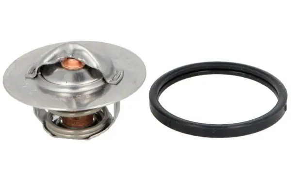 Thermostat, coolant THERMOTEC D2P001TT
