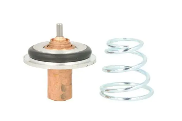 Termostats, Dzesēšanas šķidrums THERMOTEC D2R002TT