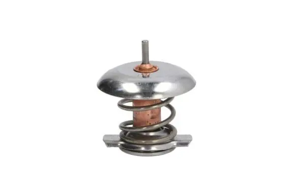 Termostats, Dzesēšanas šķidrums THERMOTEC D2V001TT