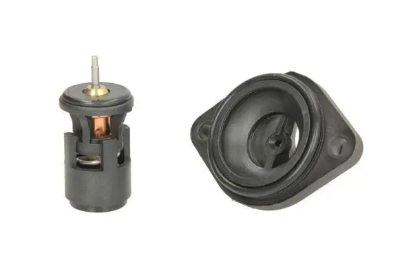 Termostats, Dzesēšanas šķidrums THERMOTEC D2W004TT