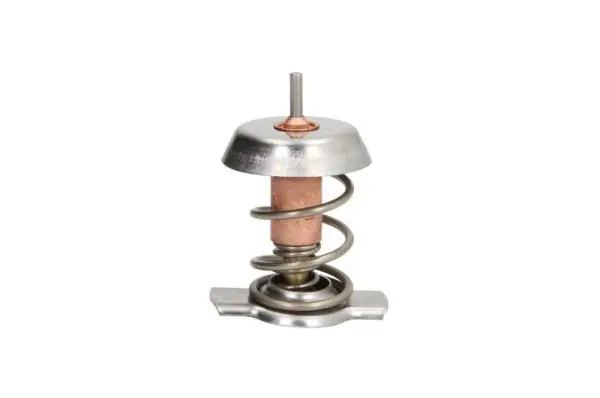 Termostats, Dzesēšanas šķidrums THERMOTEC D2X008TT