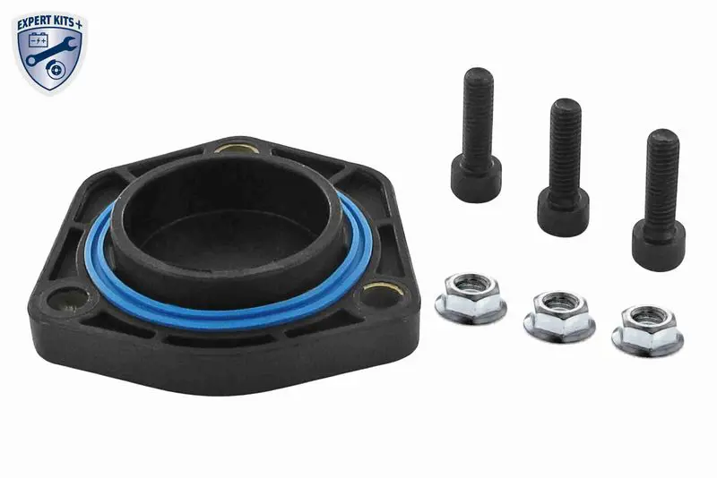 Gasket, oil sump VAICO V109529
