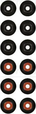 Blīvju komplekts, Vārsta kāts VICTOR REINZ