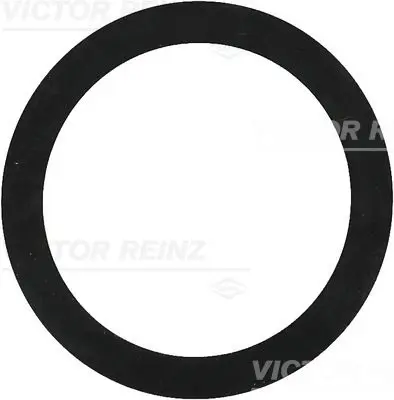 Blīvgredzens VICTOR REINZ 407739200