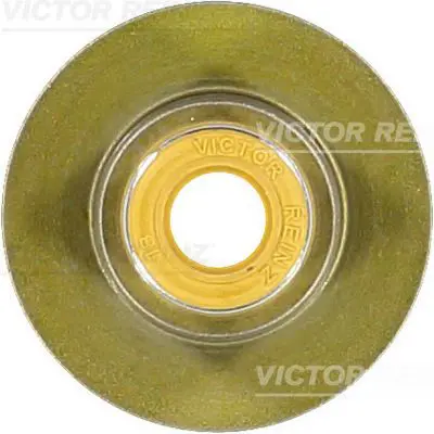 Blīvgredzens, Vārsta kāts VICTOR REINZ 704033600