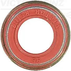 Blīvgredzens, Vārsta kāts VICTOR REINZ 704205400