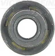 Blīvgredzens, Vārsta kāts VICTOR REINZ 705407200