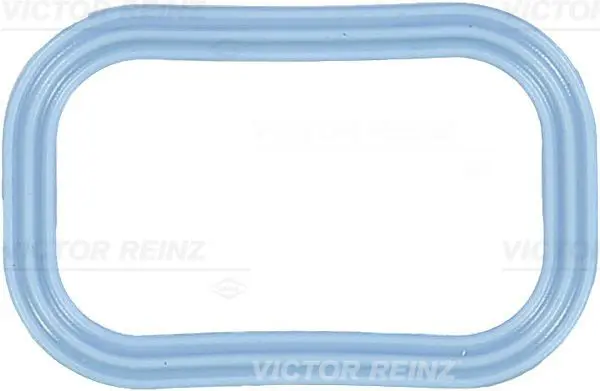 Blīve, Ieplūdes kolektors VICTOR REINZ 713553900