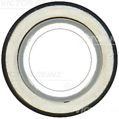 Vārpstas blīvgredzens, Kloķvārpsta VICTOR REINZ 811055900