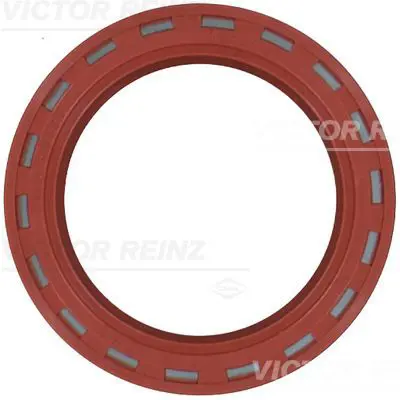 Vārpstas blīvgredzens, Sadales vārpsta VICTOR REINZ