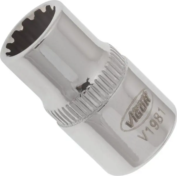 Socket VIGOR V1981