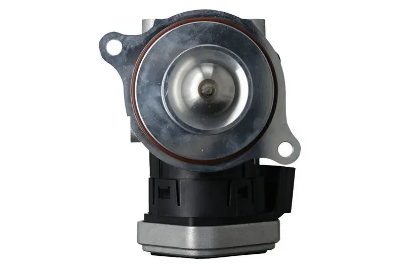 EGR Valve Valeo 703243