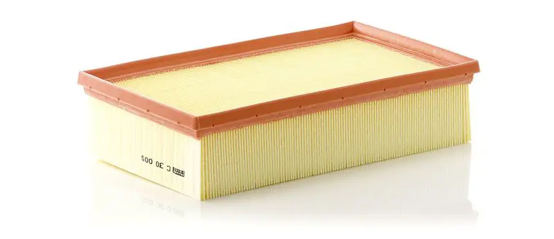 Handler.Part Air filter MANN C30005 1