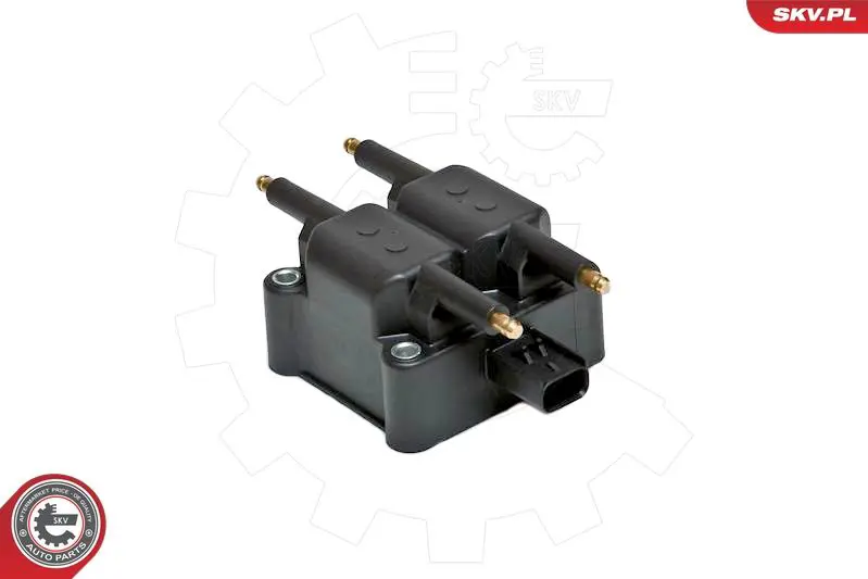 Handler.Part Ignition coil ESEN SKV 03SKV078 6