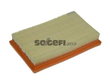 Handler.Part Air filter PURFLUX A1253 1