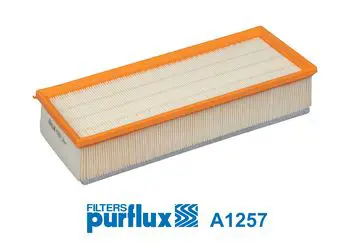 Handler.Part Air filter PURFLUX A1257 1