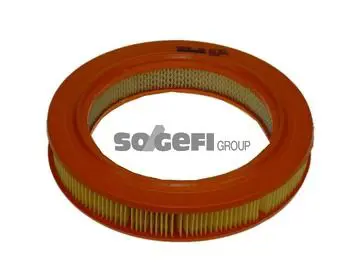 Handler.Part Air filter PURFLUX A1366 1