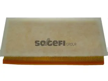 Handler.Part Air filter FRAM CA9424 1