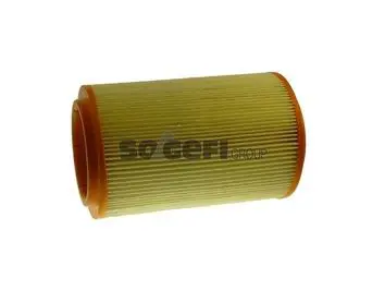 Handler.Part Air filter FIAAM FL9217 1