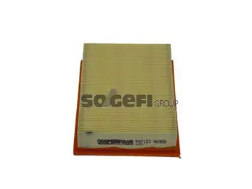 Handler.Part Air filter FIAAM PA7123 1