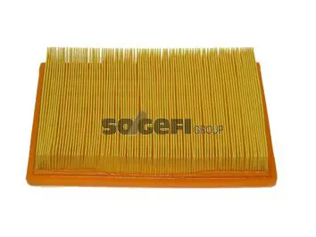 Handler.Part Air filter FIAAM PA7219 1