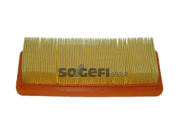 Handler.Part Air filter FIAAM PA7421 1