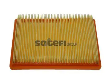 Handler.Part Air filter FIAAM PA7439 1