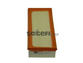 Handler.Part Air filter FIAAM PA7571 1