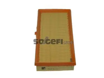 Handler.Part Air filter FIAAM PA7639 1