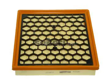 Handler.Part Air filter FIAAM PA7655 1