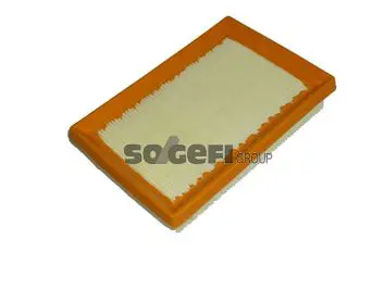 Handler.Part Air filter FIAAM PA7799 1