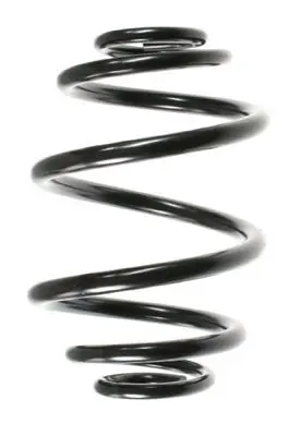 Handler.Part Coil spring Spidan 48924 1