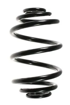 Handler.Part Coil spring Spidan 55087 1